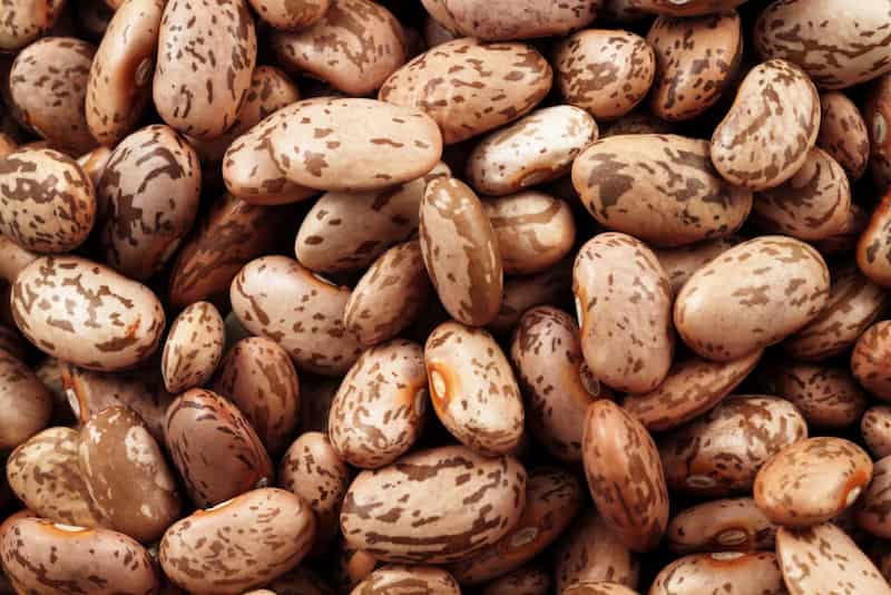 قیمت لوبیا چیتی گلستان + خرید باور نکردنی